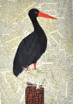 Ľuptáková Veronika.jpg